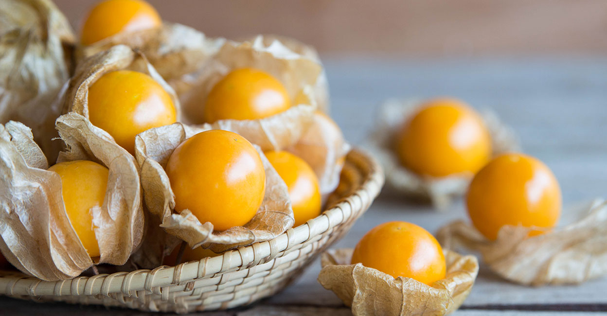 Cape gooseberry. Photo: Shutterstock/Noi Pattanan