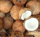 Coconut prices skyrocket in Kerala: Tips for managing your kitchen budget without sacrificing flavour