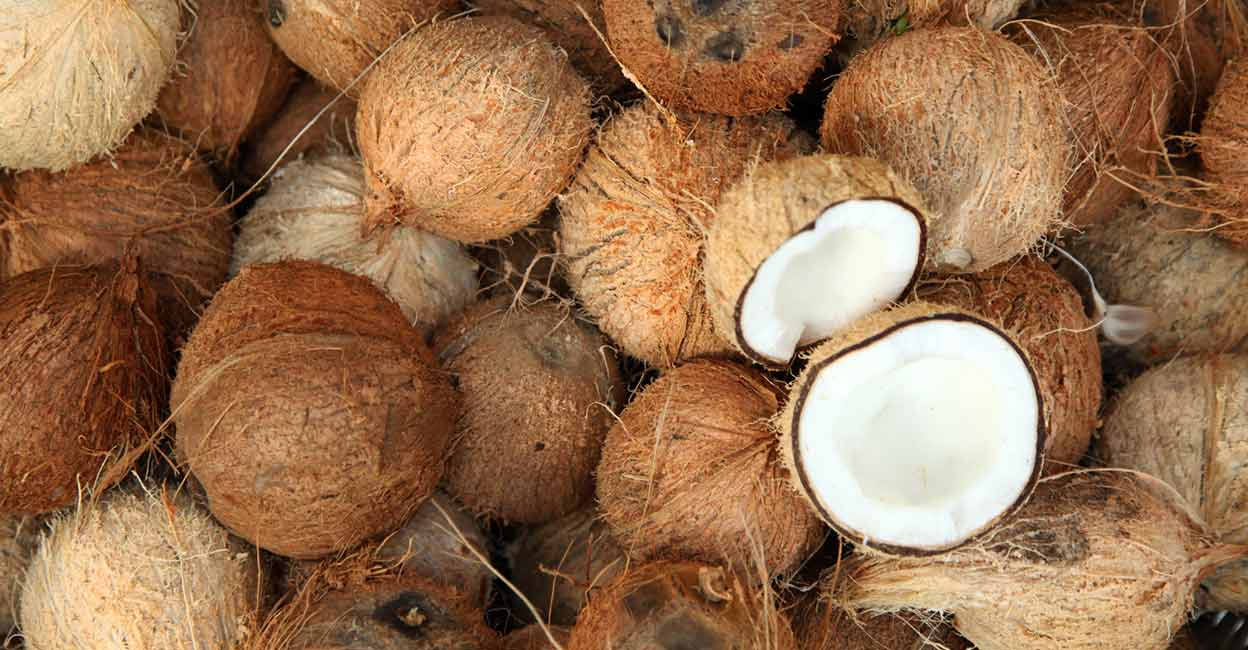 The art of buying coconut: Learn to pick the most ripe, water-filled ...