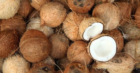 Coconut prices skyrocket in Kerala: Tips for managing your kitchen budget without sacrificing flavour