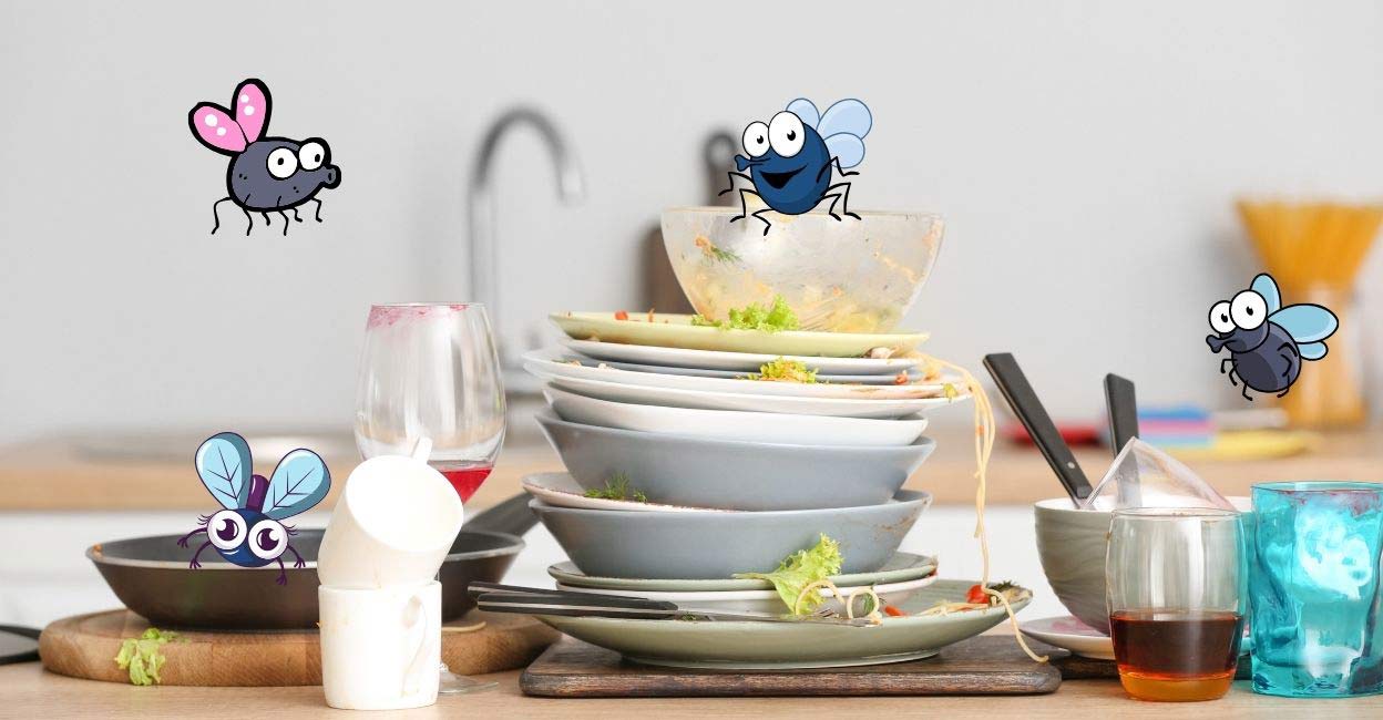 Fruit flies Representative image created using Canva