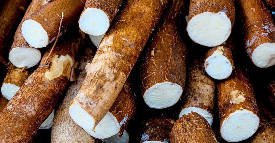 Tapioca. Photo: Shutterstock/Julio Ricco