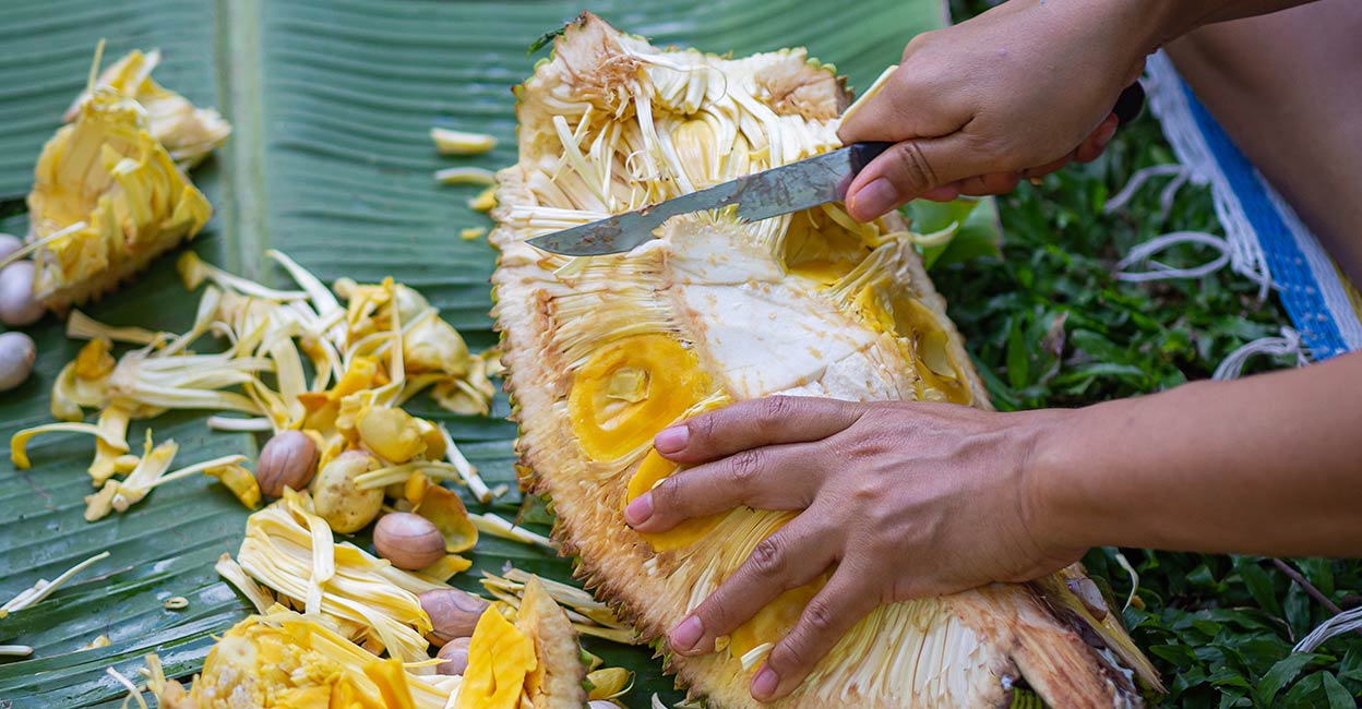 How to get rid of the stickiness while cutting jackfruit | Onmanorama ...