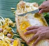 How to get rid of the stickiness while cutting jackfruit