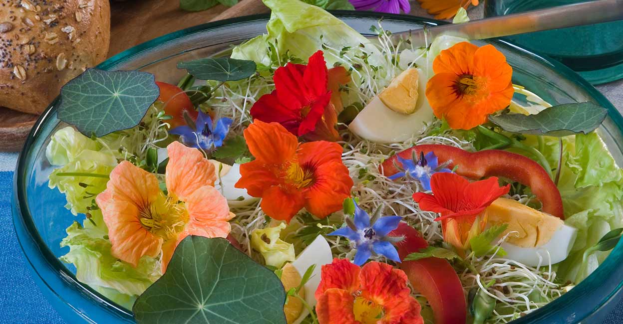 Summer salad with edible flowers Summer salad with edible flowers. Photo: iStock/karma_pema