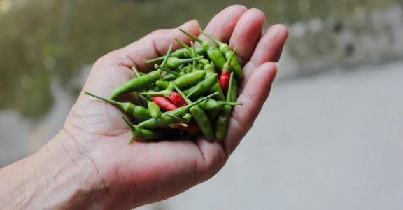 Just how hot is a kanthari chilli? Discover the hottest chillies in ...