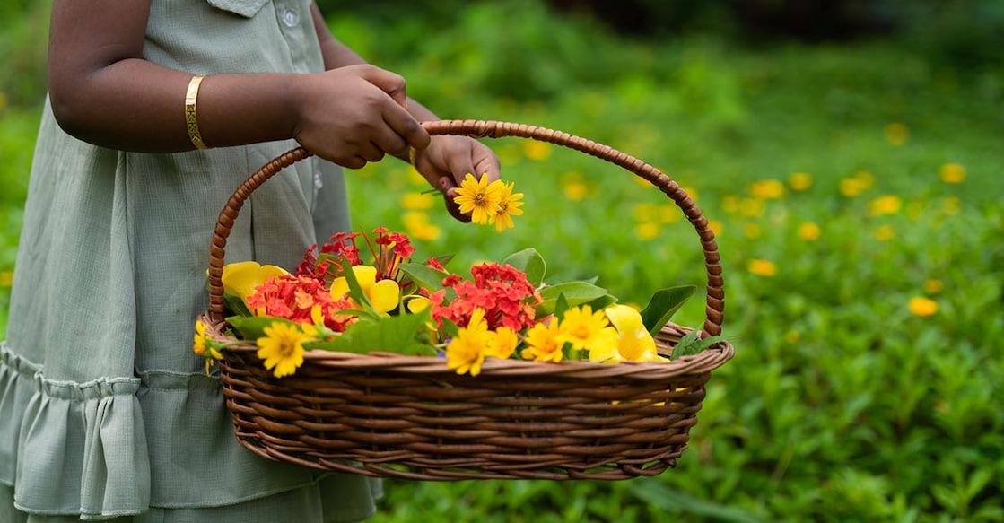 Young girl holding basket full of flowers for Onam decoration. Photo: iStock/sarath maroli