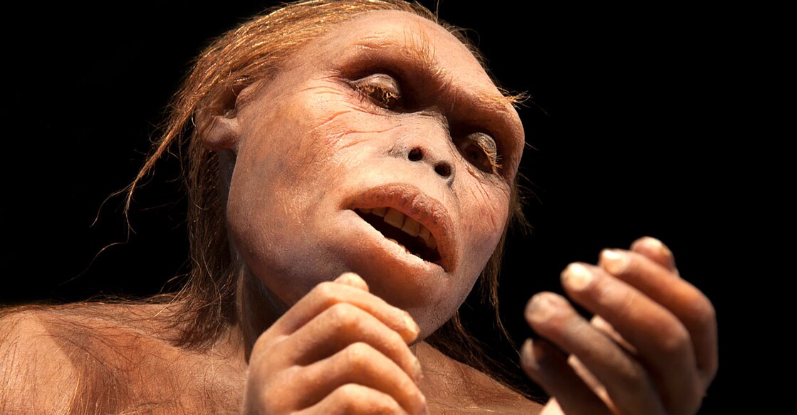 Australopithecus man Representative image: Shutterstock/Procy
