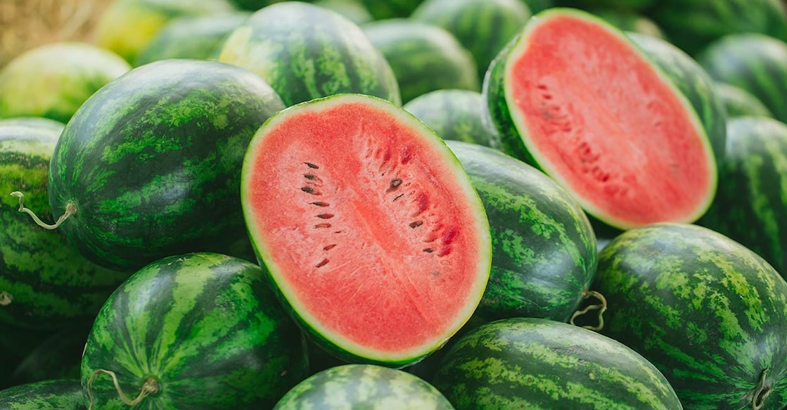Watermelon Watermelon. Photo: Shutterstock/Quality Stock Arts