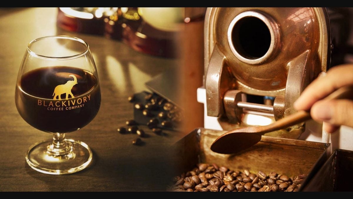 100 jamaican blue mountain coffee k cups 100% Jamaica Blue Mountain Wallenford , Single-Serve Pods 96 ct Medium Roast