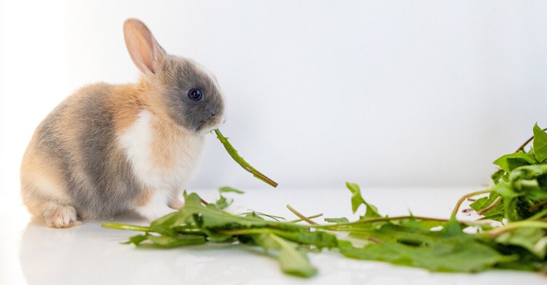 Representative image: Shutterstock/Yanya