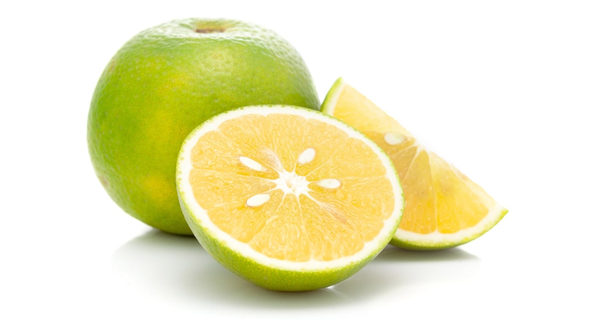 Mosambi Mosambi. Photo: Shutterstock/ELAKSHI CREATIVE BUSINESS