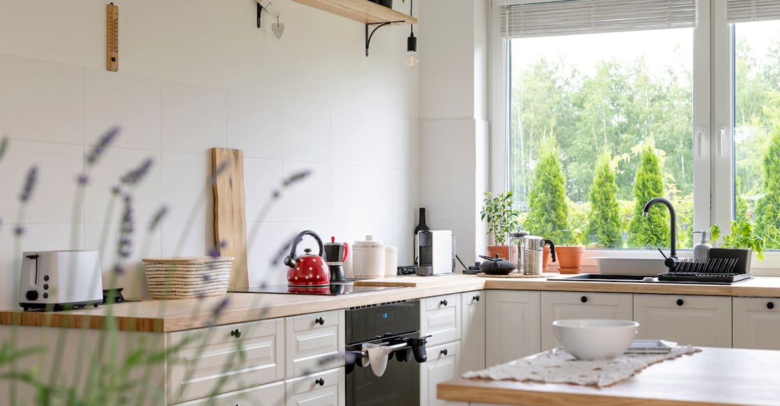 Representative image: Shutterstock/liloon