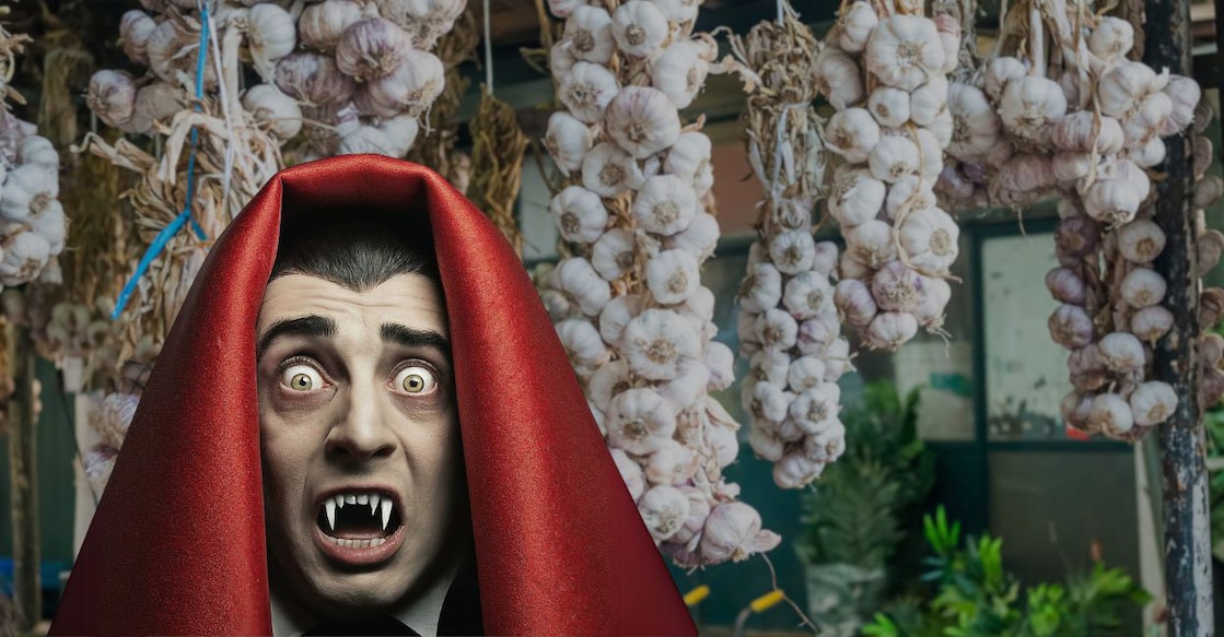 From monks to Dracula to the Met Gala: Why garlic keeps getting ghosted Image created using AI