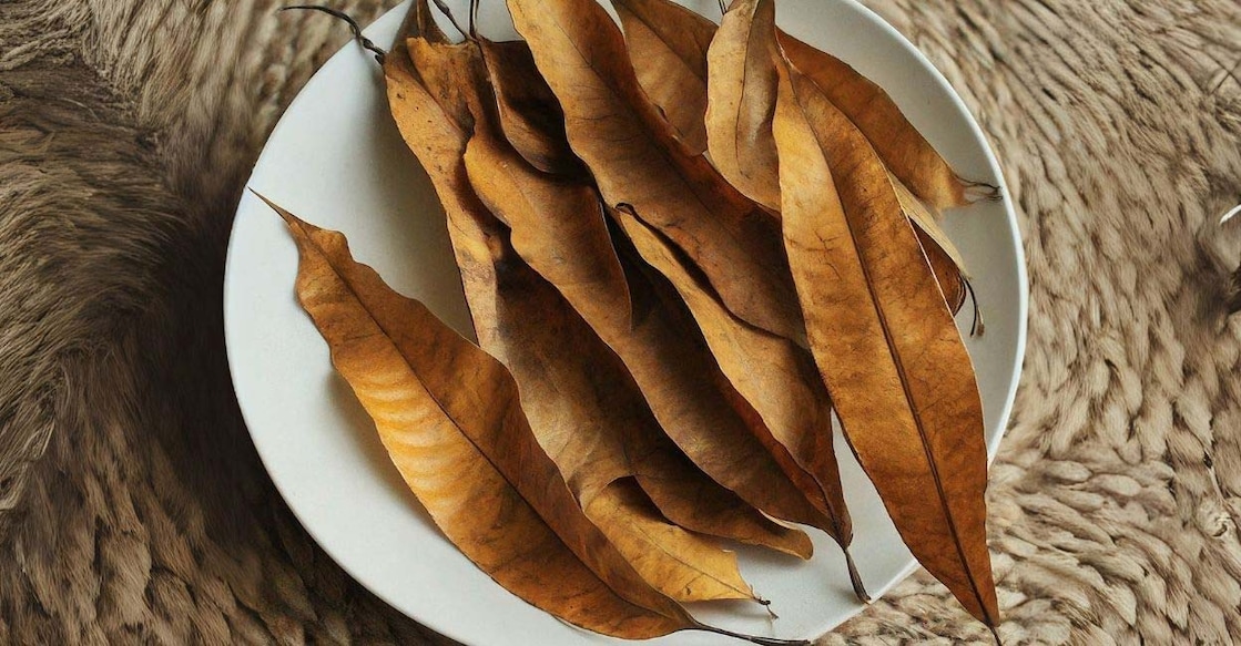 Dried mango leaves Image created using Imagen