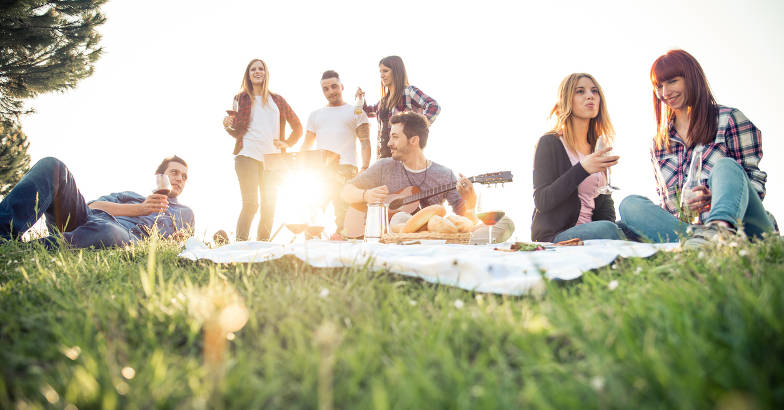 picnic picnic