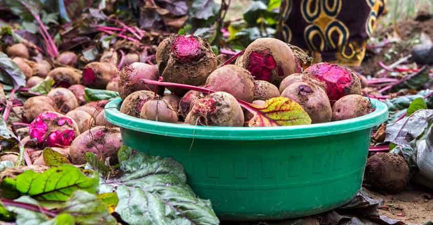 Rwandan entrepreneur woos drinkers with beetroot wine Rwandan entrepreneur woos drinkers with beetroot wine