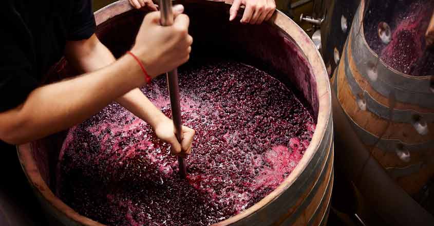 Christmas is coming, so is the wine Christmas is coming, so is the wine