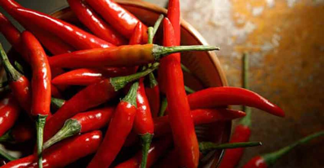 Here's how Christopher Columbus discovered the chilli
