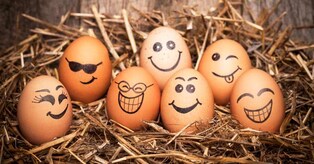 Some 'eggcellent' tips to cook and store eggs