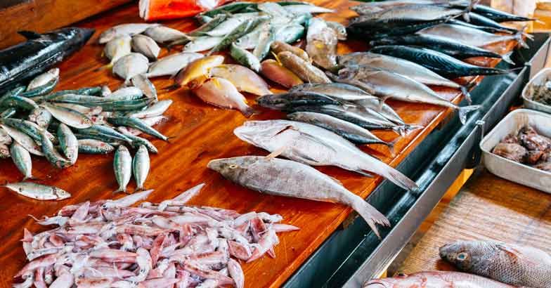 Fresh fish in market Fresh fish in market