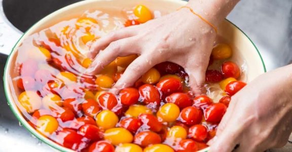 Washing tomatoes Washing tomatoes