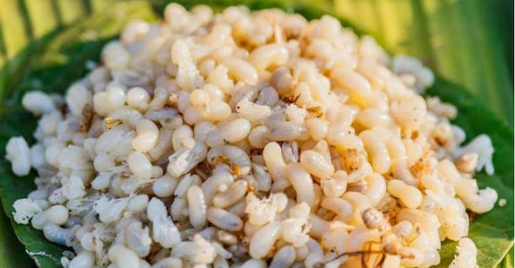 Ant eggs Ant eggs