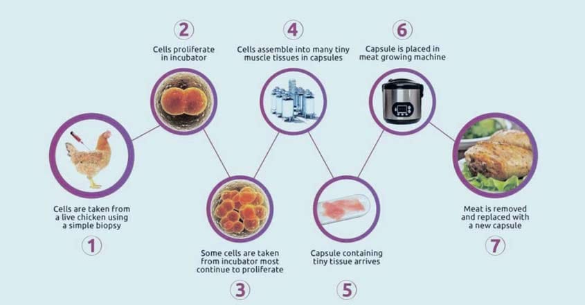 Lab-made meat may herald the next food revolution Lab-made meat may herald the next food revolution