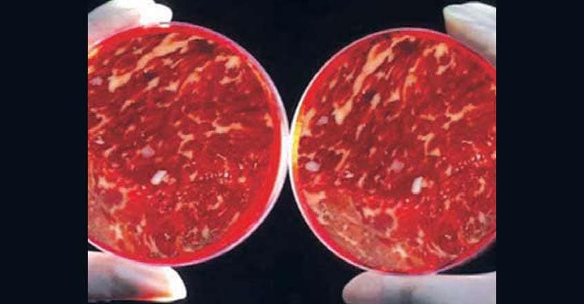 Lab-made meat may herald the next food revolution Lab-made meat may herald the next food revolution