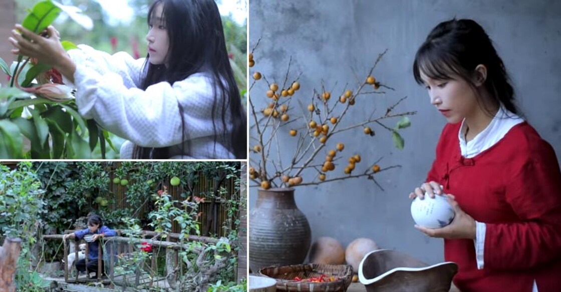 Li Ziqi vlogger