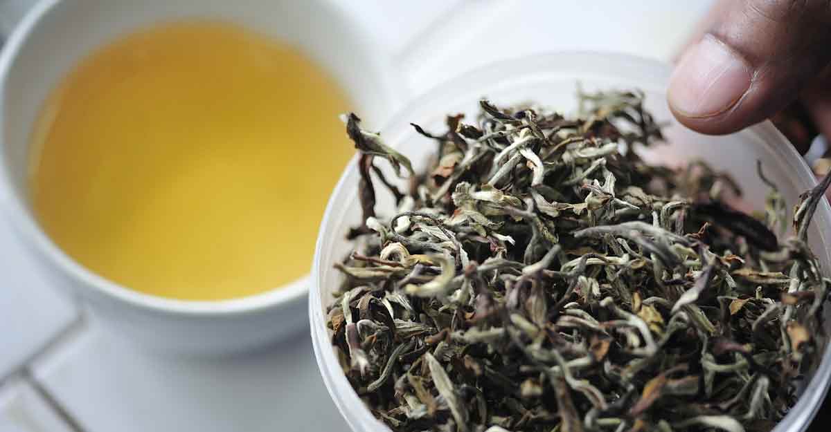 GI tag for Darjeeling green and white tea