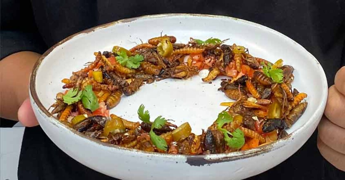 Thai chef aims to turn insect eating into fine dining