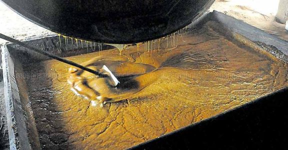 Kerala's own Marayur jaggery earns Geographical Indication tag Kerala's own Marayur jaggery earns Geographical Indication tag