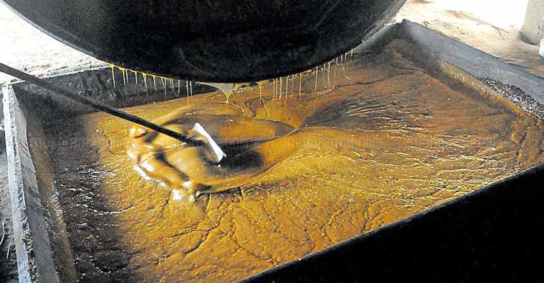 Kerala's own Marayur jaggery earns Geographical Indication tag