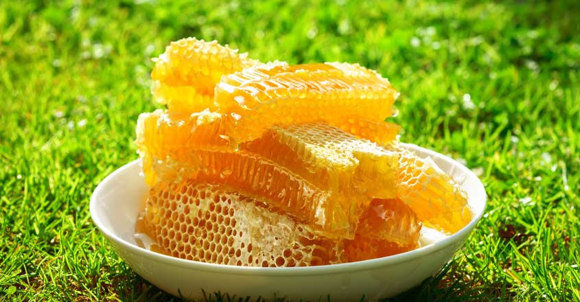 Curry made of baby bees