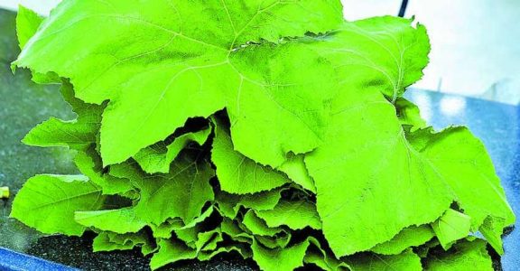 Diet of tribes people during Karkidakam has recuperative powers Diet of tribes people during Karkidakam has recuperative powers