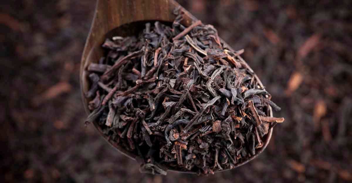 Tea leaves Tea leaves