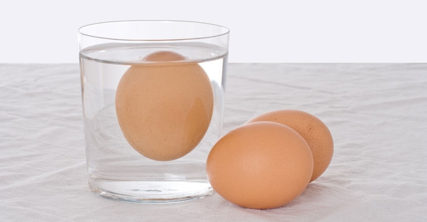 egg test