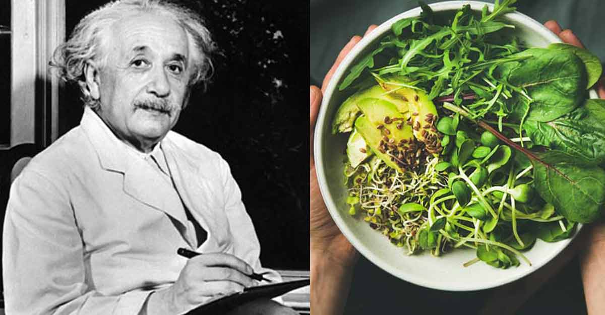 The fascinating eating habits of Albert Einstein The fascinating eating habits of Albert Einstein