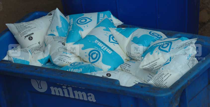 How to store milk and curd during summers? Milma suggests