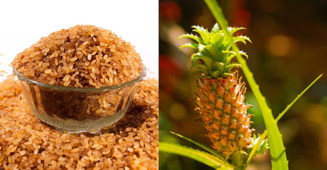 How culinary spats came to the fore over GI tag How culinary spats came to the fore over GI tag