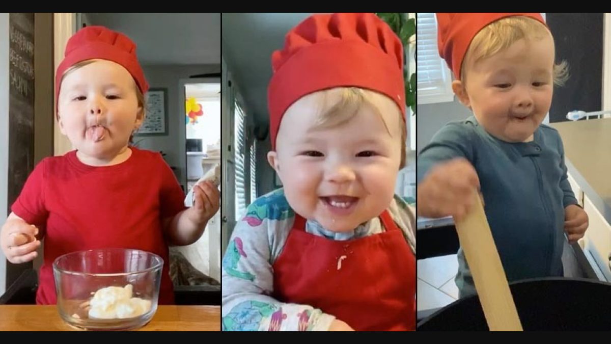 chef handy baby food｜TikTok Search