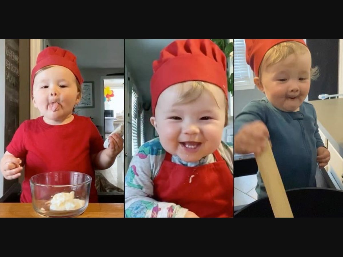 chef handy baby food｜TikTok Search