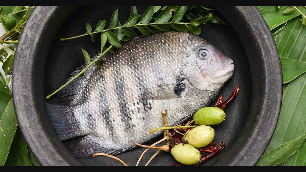 karimeen kunjungal for sale near me