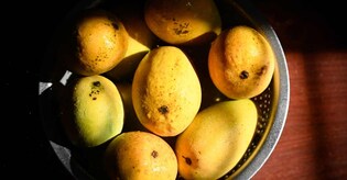 Mango magic: Most common mango myths and facts