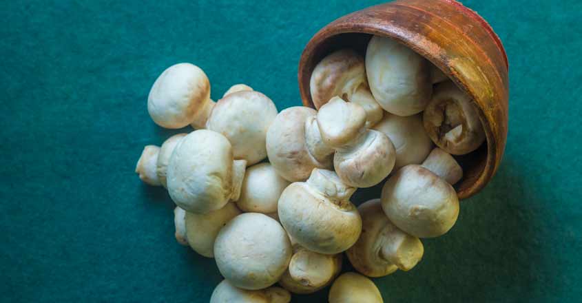 Here's how mushrooms became the favourite food of tribal communities