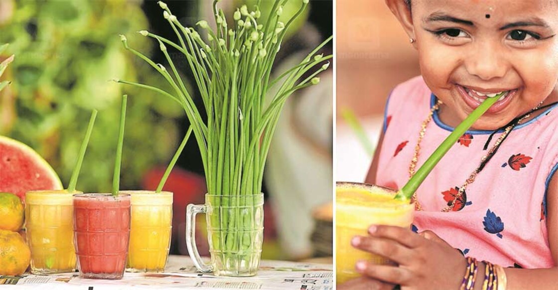 spring onion