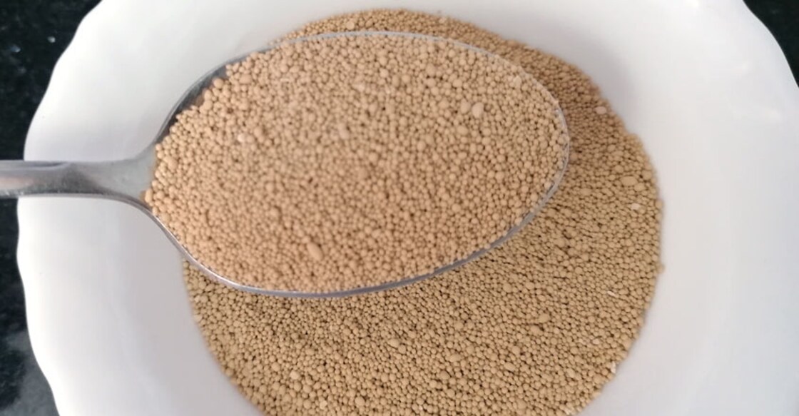 yeast