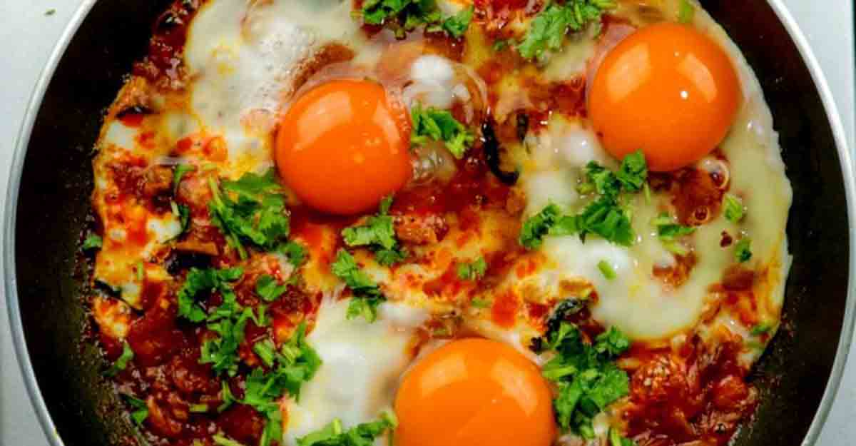 egg-special egg-special