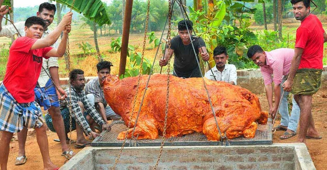 Whole roasting a 300 kg buffalo; Kerala food vlogger takes it to next level